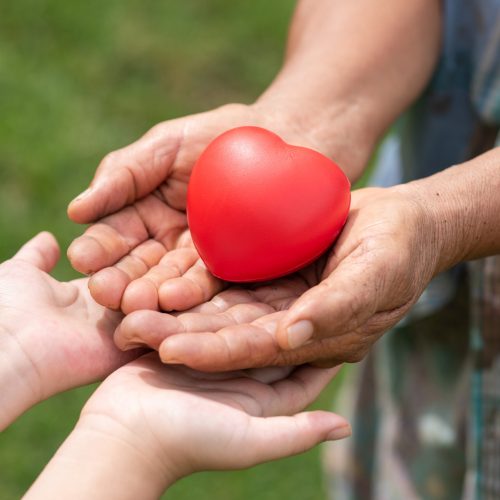 The red rubber heart on hands of elderly and child. Showed the cooperate, love, care, charity of people with differences diversity for sustain develop of farmer, community, society and the environment